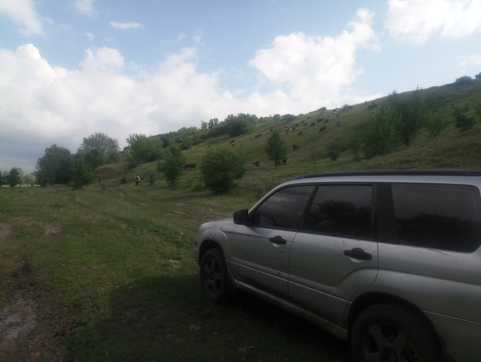 Місцеві альпійські долини 5