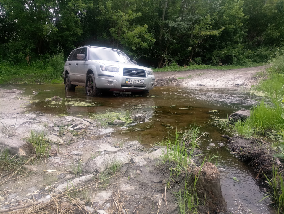 Місцеві альпійські долини 3