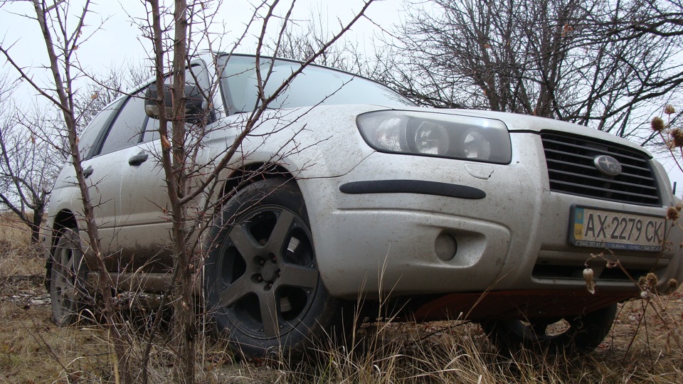 Покатався по бруду - зробив ТО підвіски 1