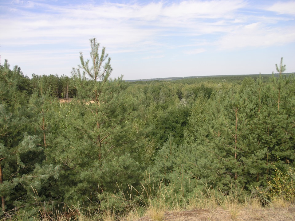 Харківська пустеля 2