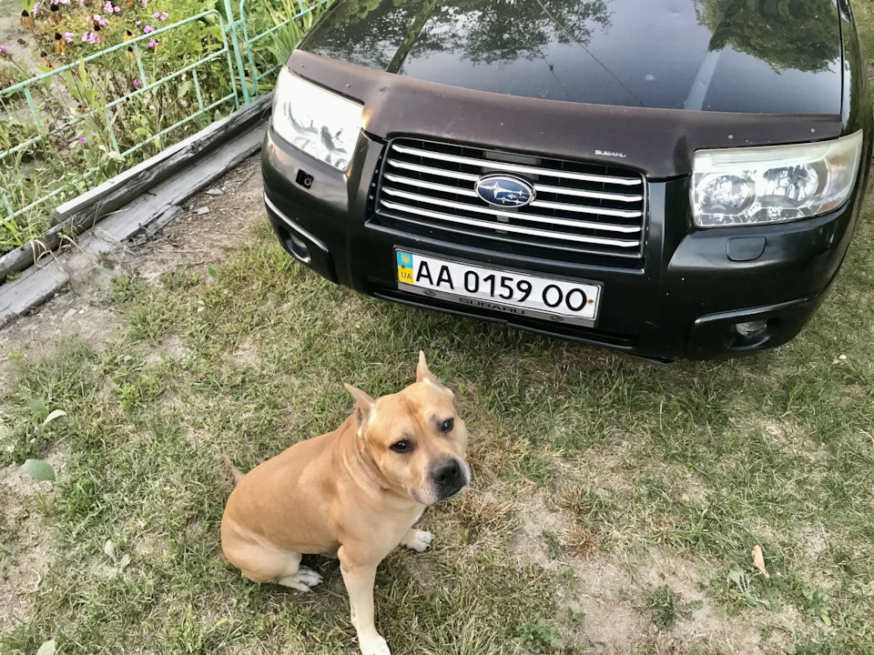 Відпустка на дачі 1