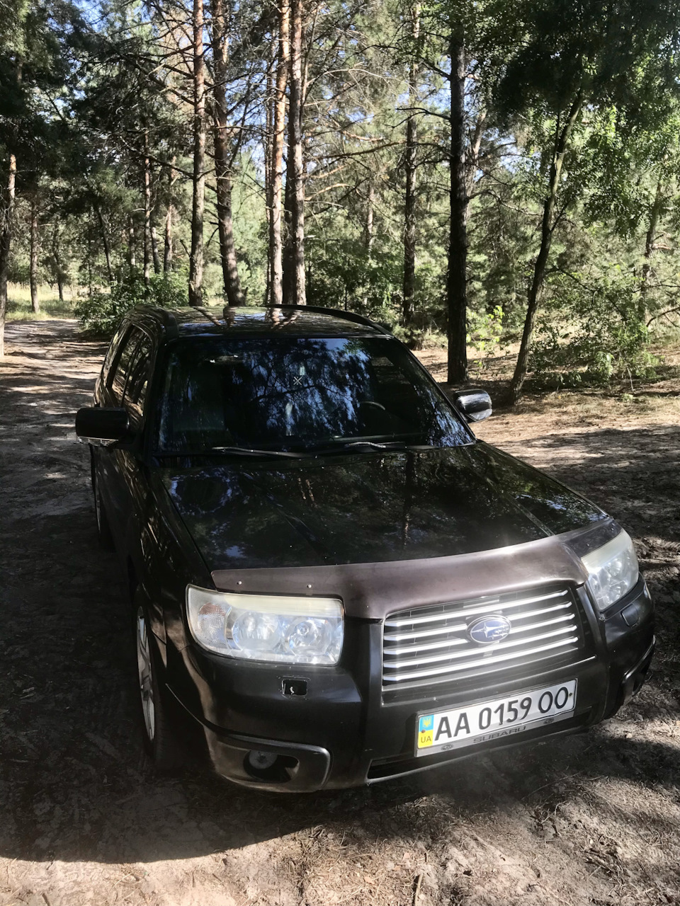 Відпустка на дачі 2
