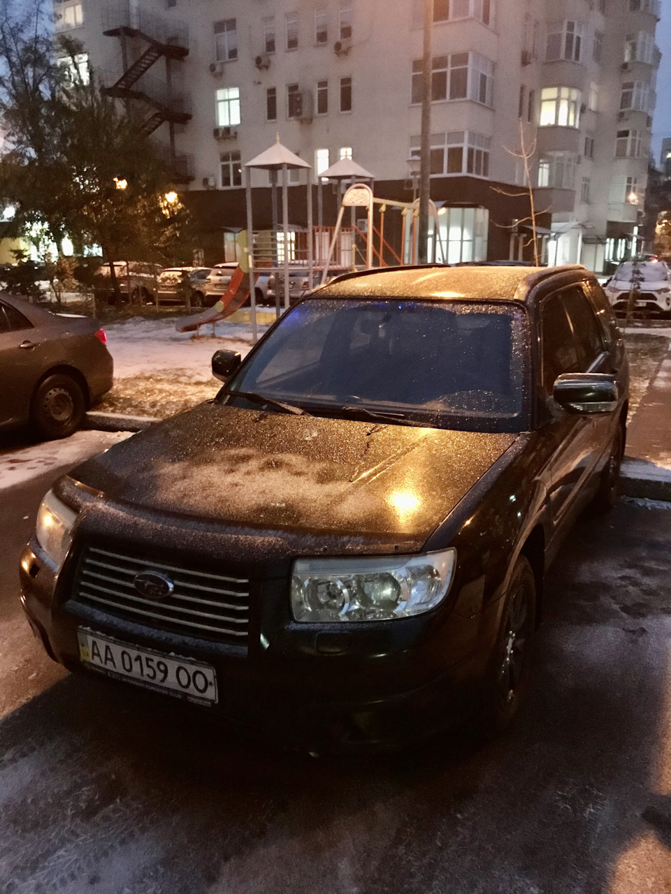 Перший сніг 2