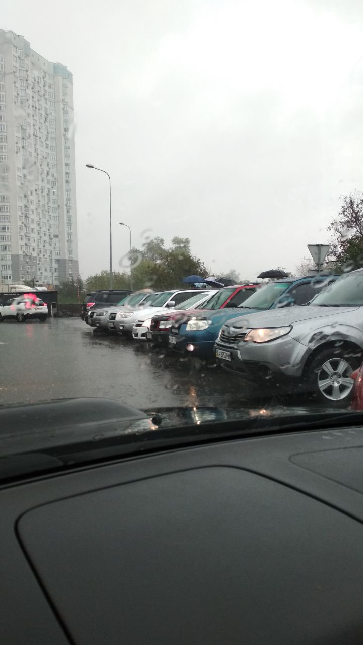 Зустріч Ukrainian Forester Club 1