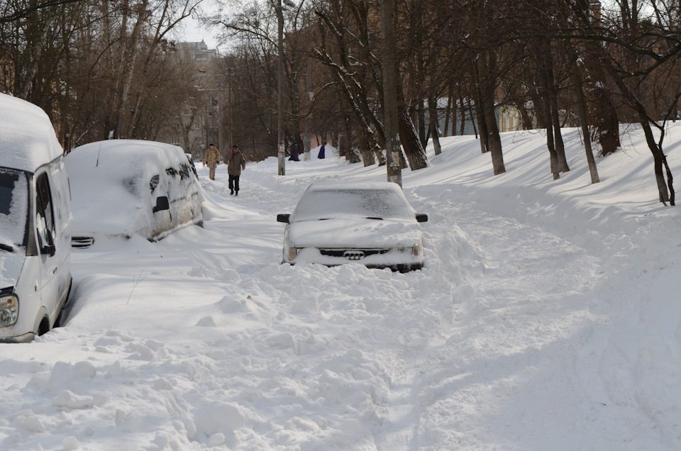 Зима (весна) у Києві 23 Березня 2013 2