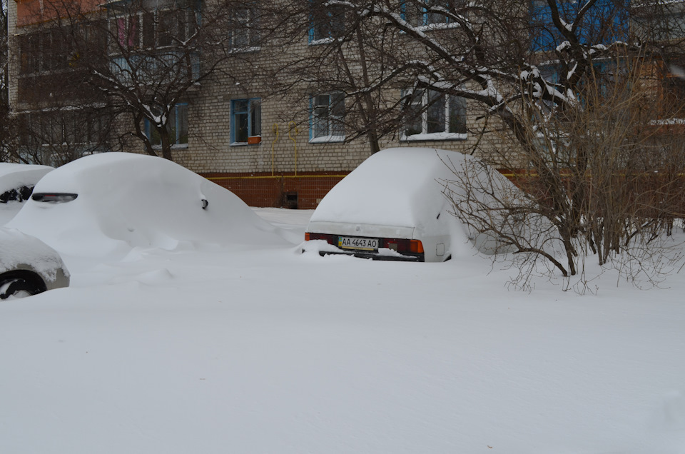Зима (весна) у Києві 23 Березня 2013 3