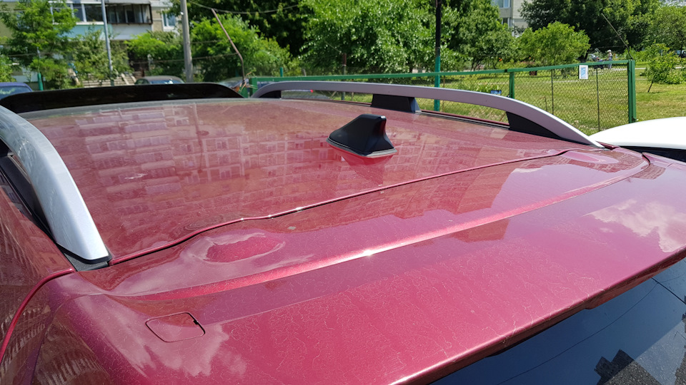 Наши сети притянули плавничка. 3