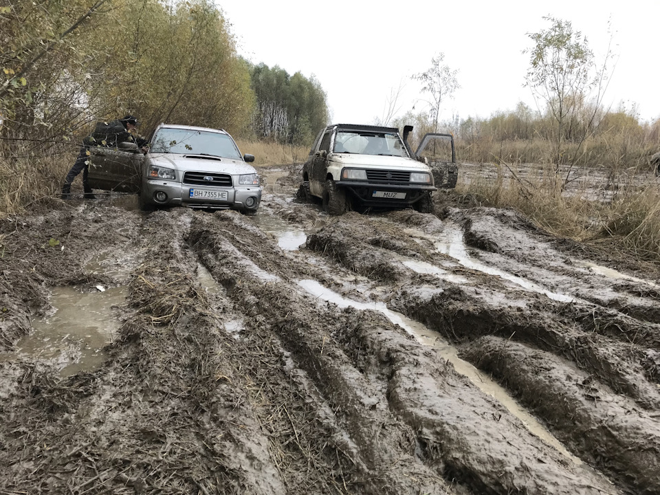 Бушинги заднього підрамника 4