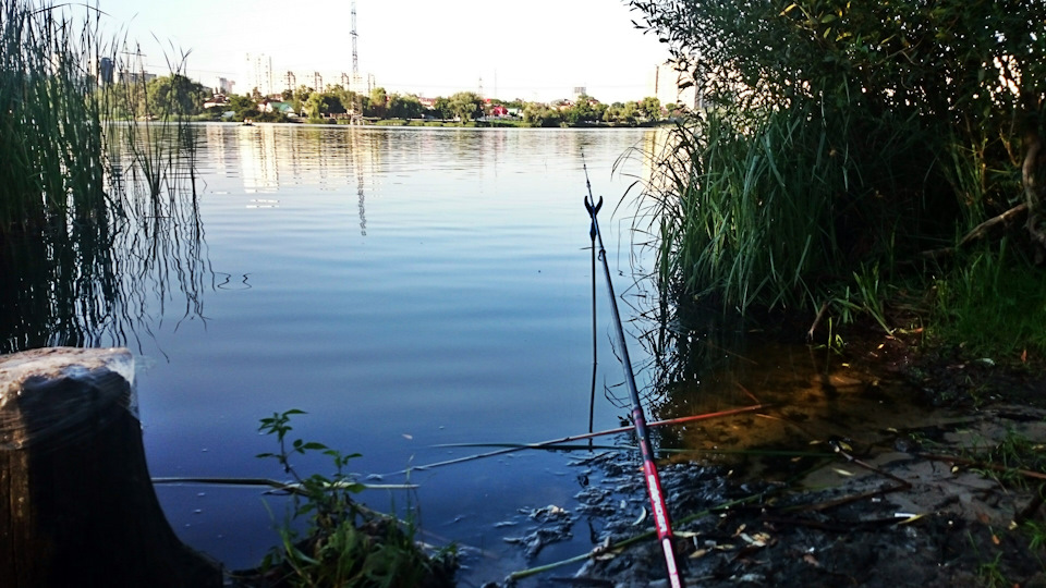 Крихітка хрому 5