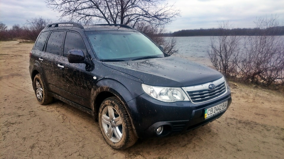 Форік бруд завжди знайде 3