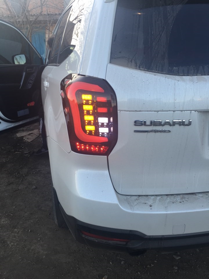 Діодне світло задніх фар 2