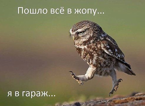 гараж 4
