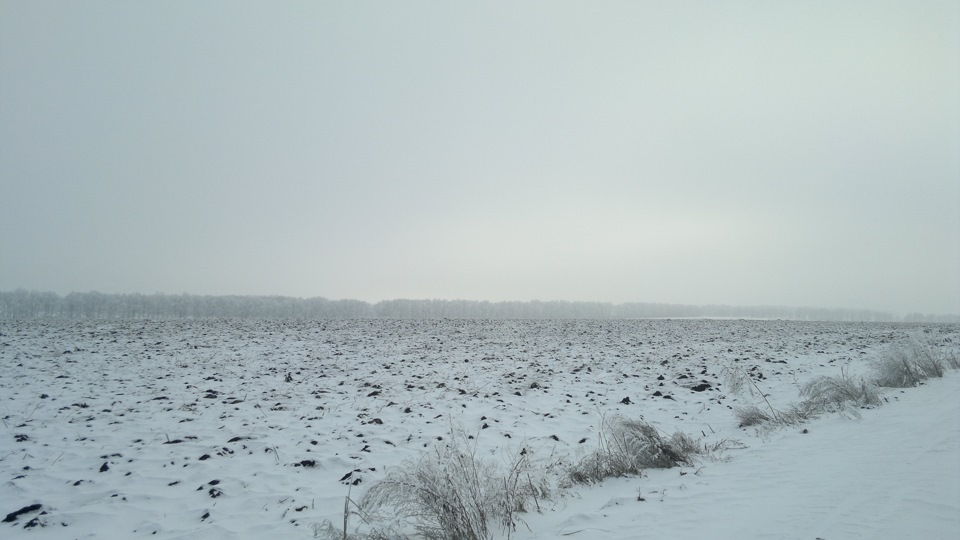 Краса 3
