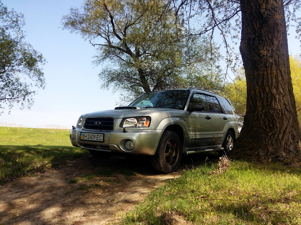 Фото: Forester у своїй стихії 3