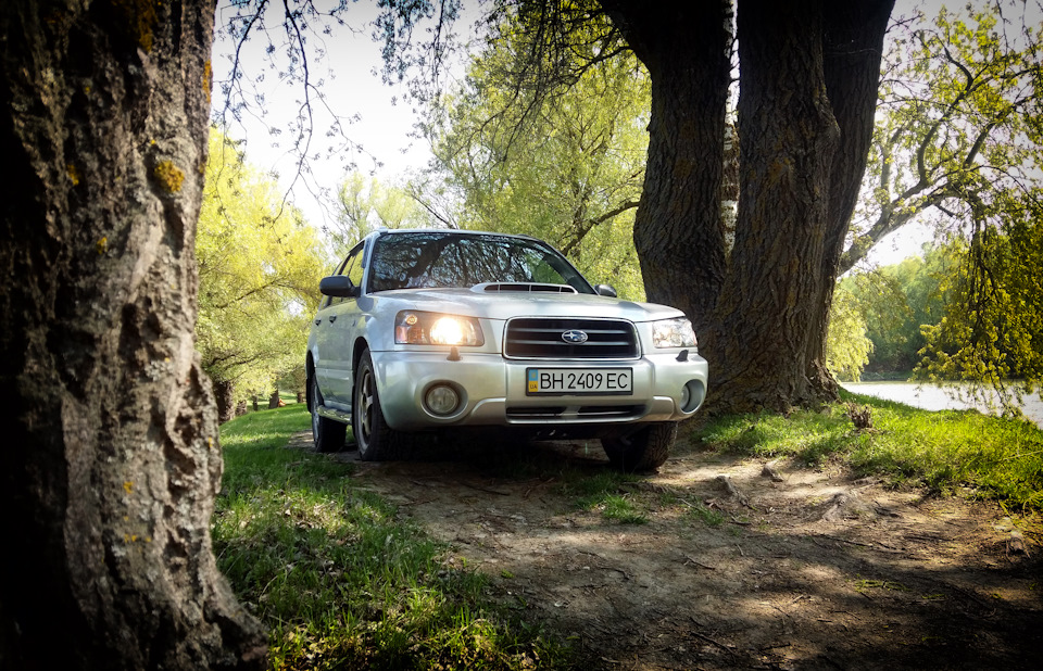 Фото: Forester у своїй стихії 2