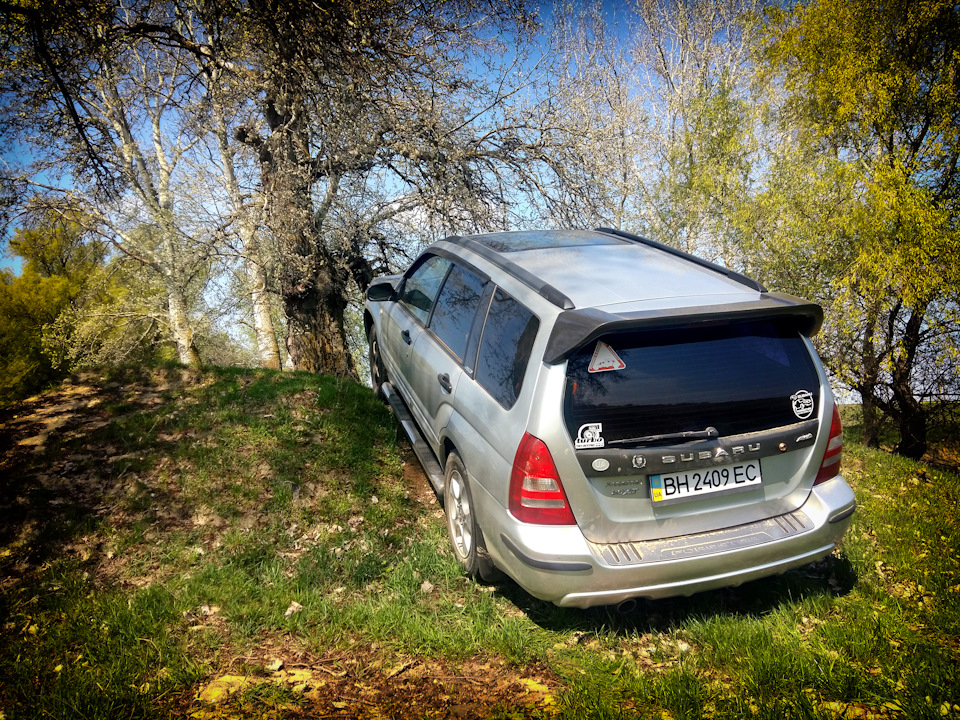 Фото: Forester у своїй стихії 4
