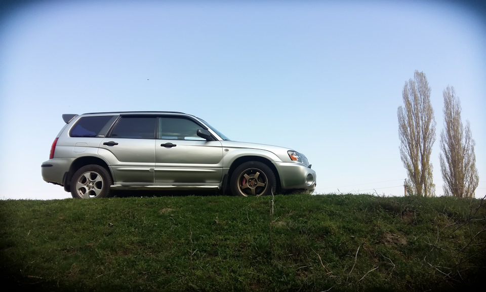 Фото: Forester у своїй стихії 1