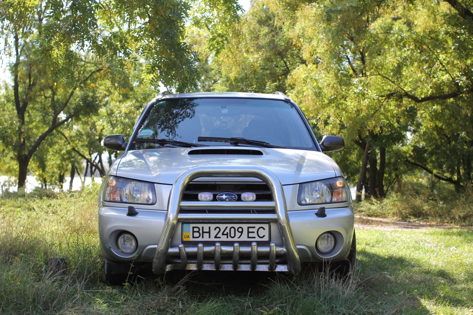 Фотосет No. 1: Forester у лісі 3