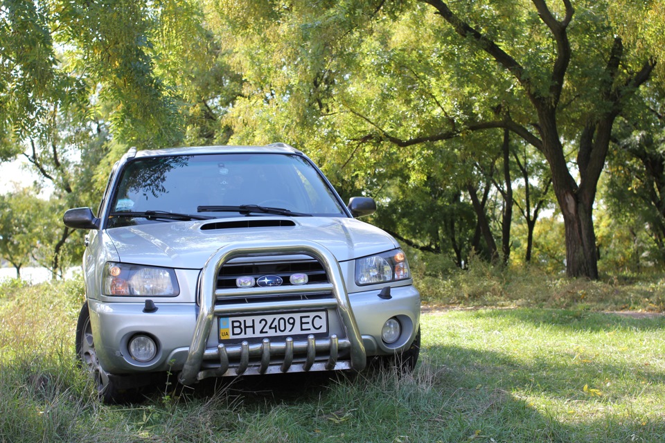 Фотосет No. 1: Forester у лісі 4