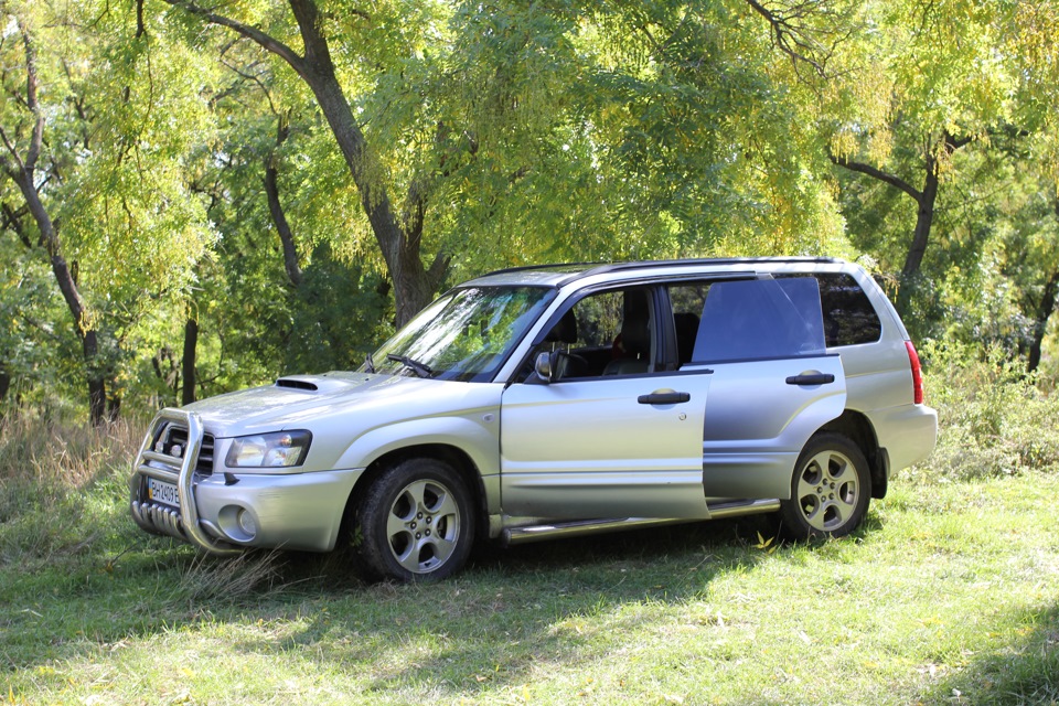 Фотосет No. 1: Forester у лісі 1