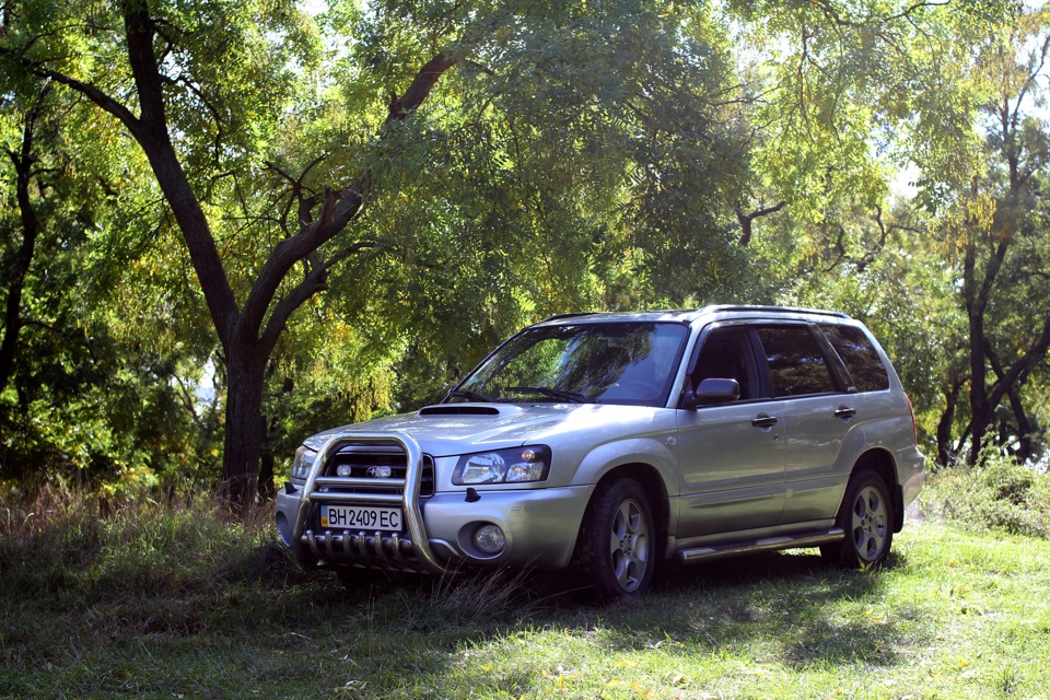 Фотосет No. 1: Forester у лісі 2
