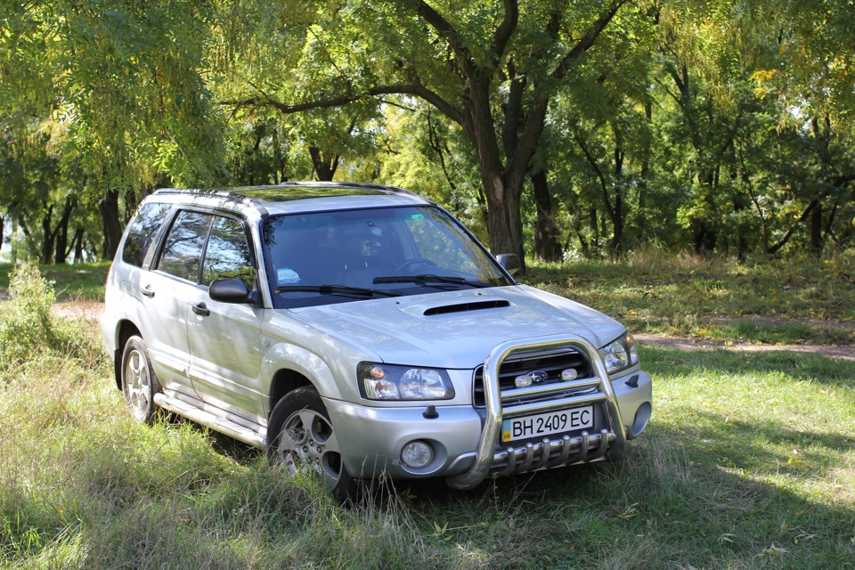 Фотосет No. 1: Forester у лісі 5