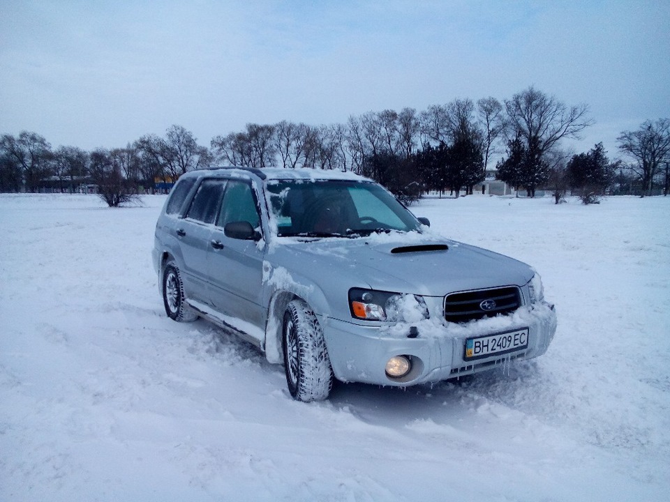 Покрутилися на галявині (Snowtime) 1