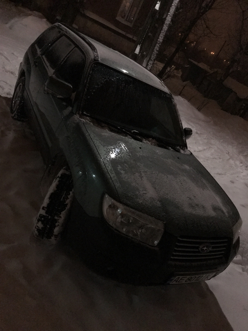 Мій Танчик Знову вдома! 2