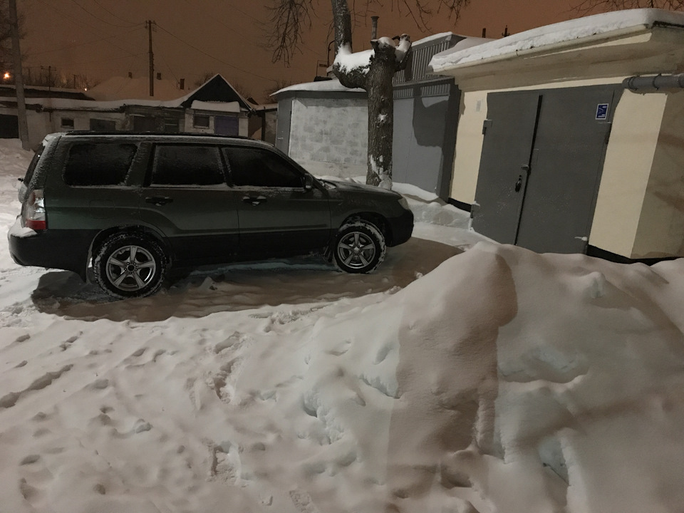 Мій Танчик Знову вдома! 3
