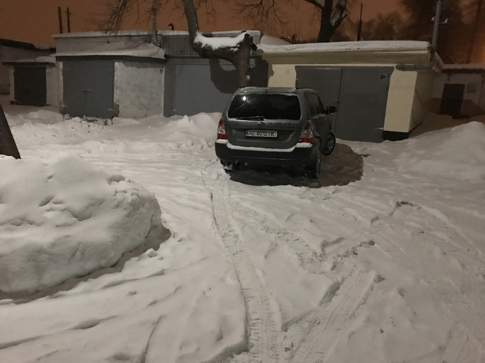 Мій Танчик Знову вдома! 4
