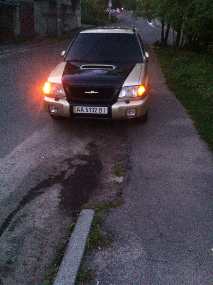 USDM STYLE 2