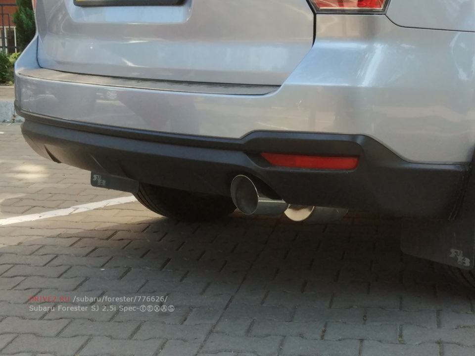 Подвійний вихлоп Nameless Performance Axleback 5 Mufflers 4