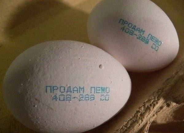 Оголошення про продаж свого автомобіля на курячих яйцях 1