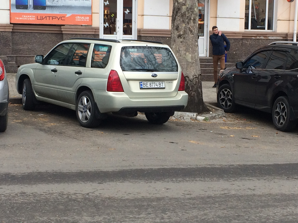 На теж граблі 1