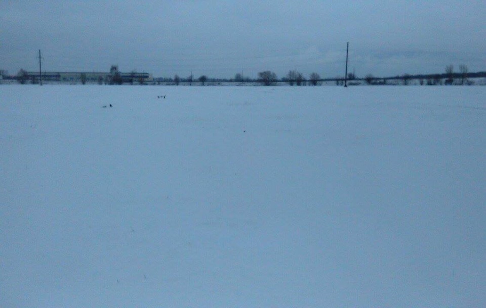 Ascania Rally School. Тренування на ралійній трасі 2