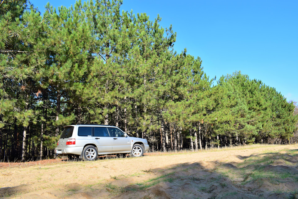 Сам собі фотограф. Subaru Forester SF5 4