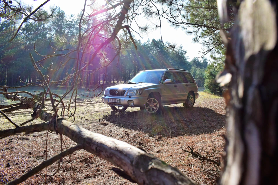 Сам собі фотограф. Subaru Forester SF5