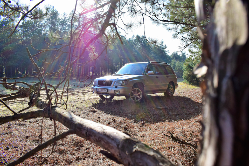 Сам собі фотограф. Subaru Forester SF5 1