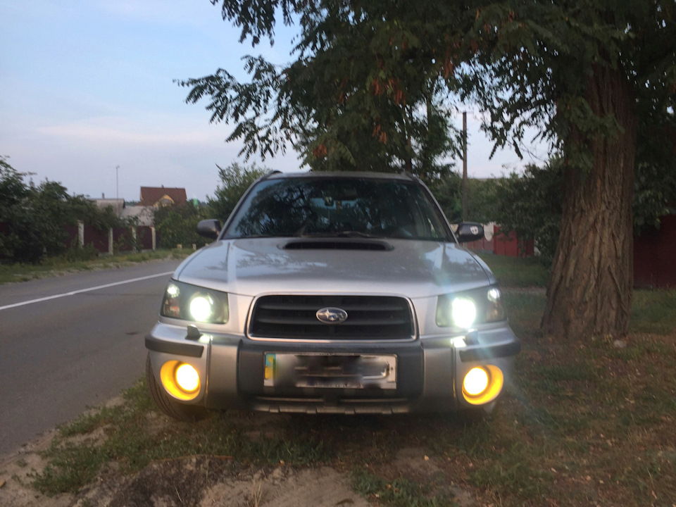 Yellow fogs. 3