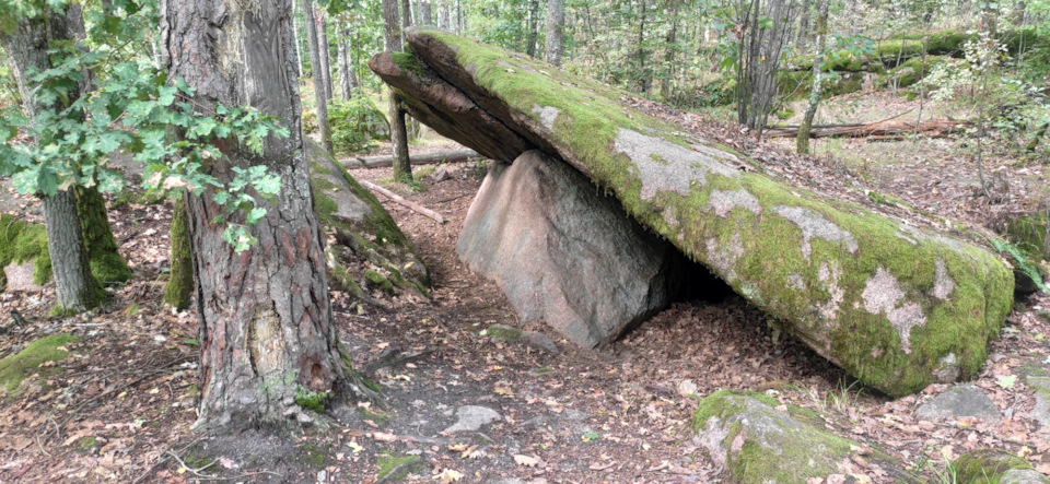 Осінь-Осінь! 5