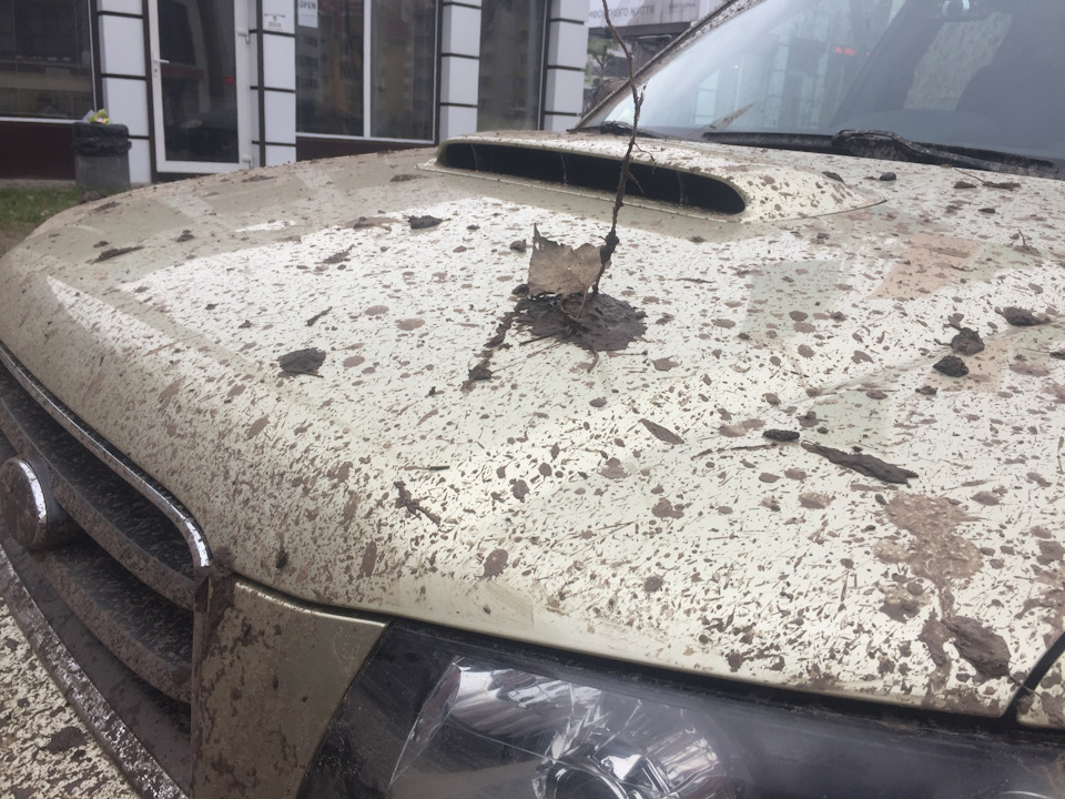 20. Вибралися на природу 4