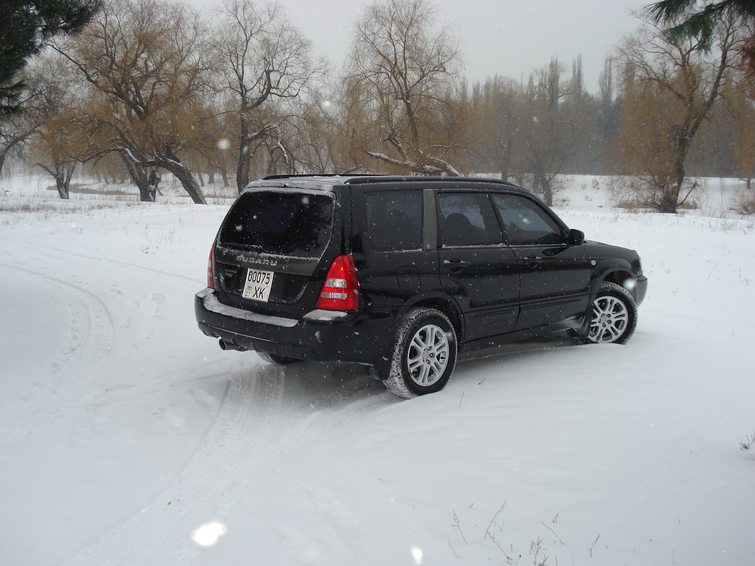 Покотушки 5