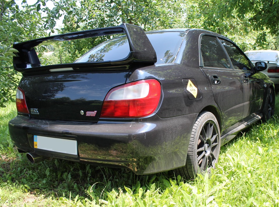 Фото на природі 2