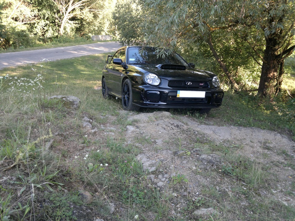 Фото на природі ч2 4