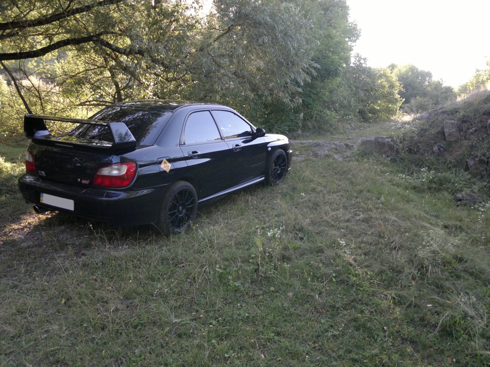 Фото на природі ч2 5