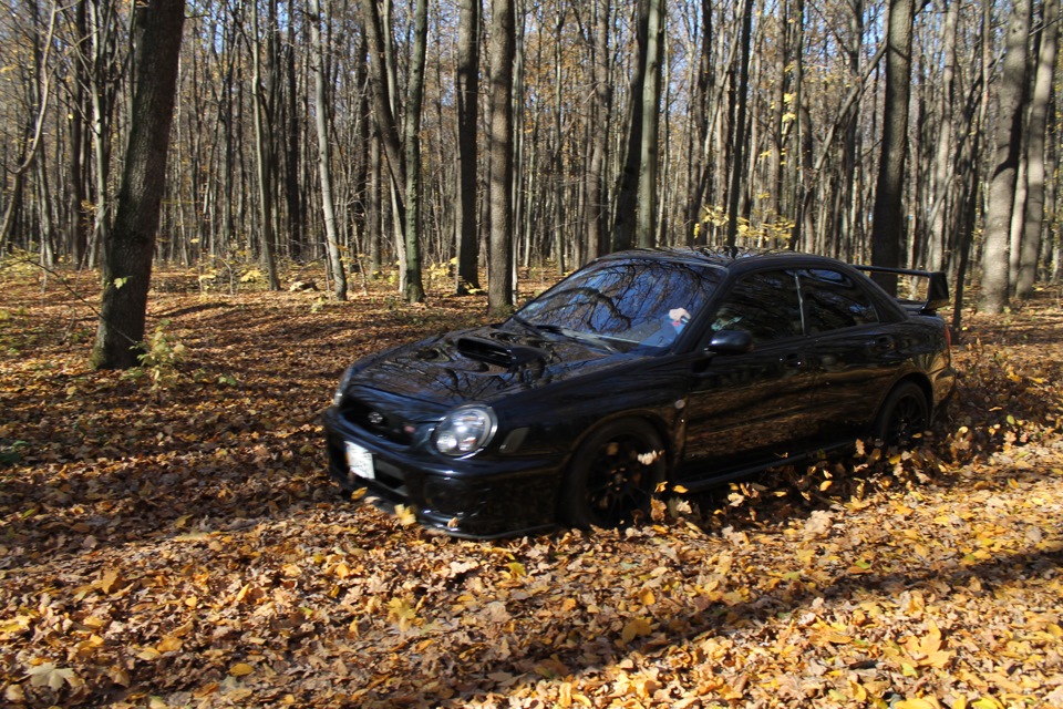 Осінь))) 2
