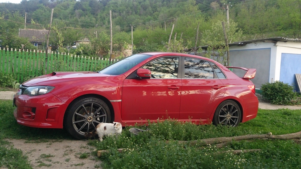 365 днів володіння STI враження 1