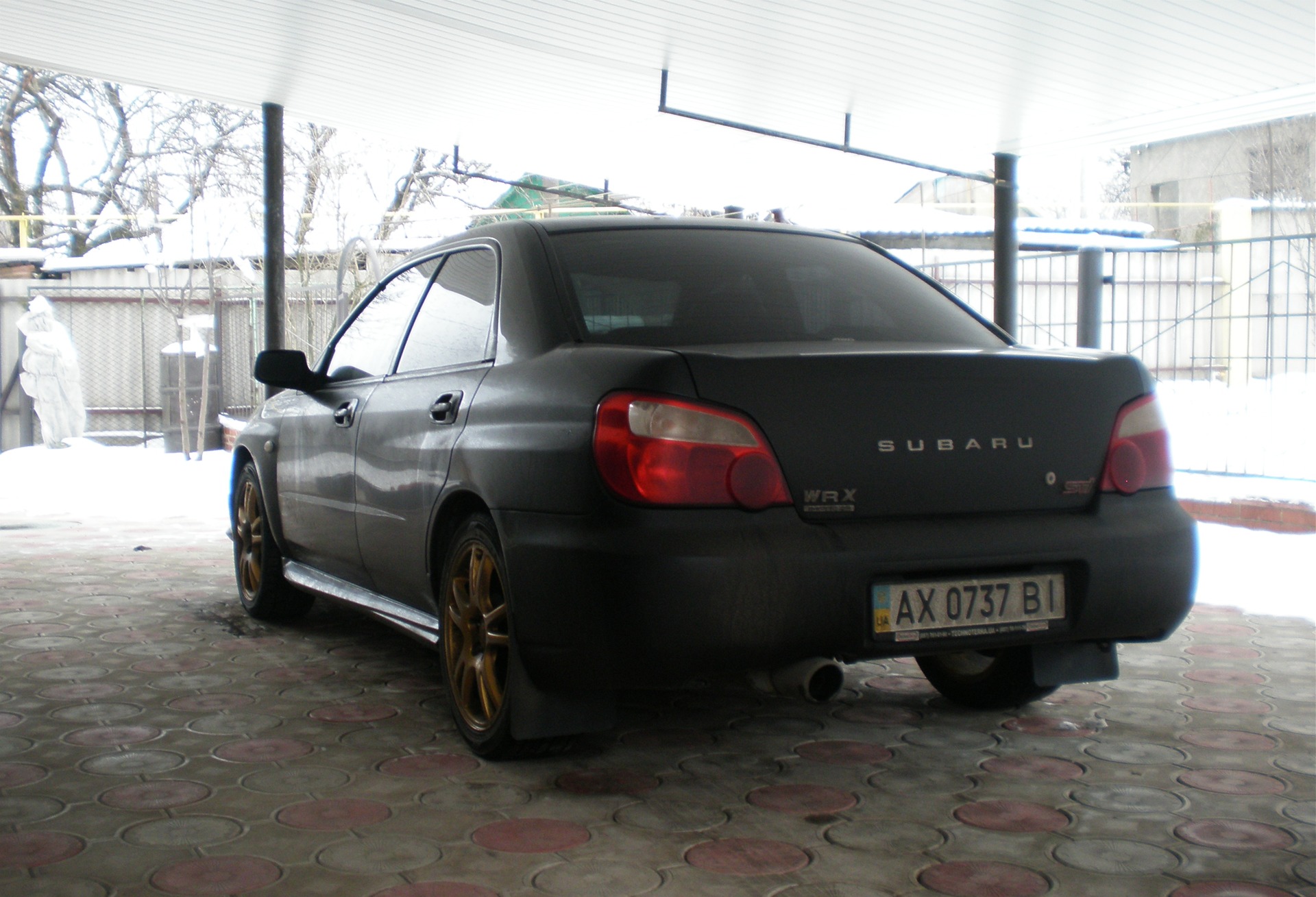Без хвоста:))) 1