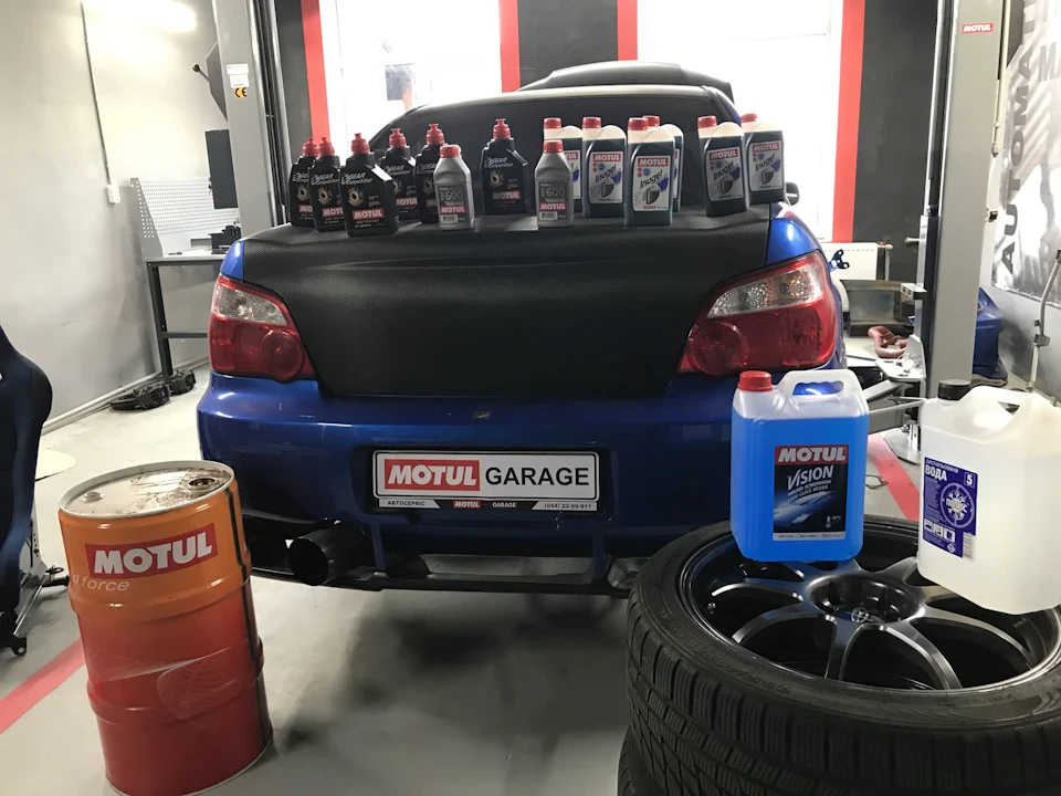 Motul головного мозку 😁😱або маленький тизер 🤗