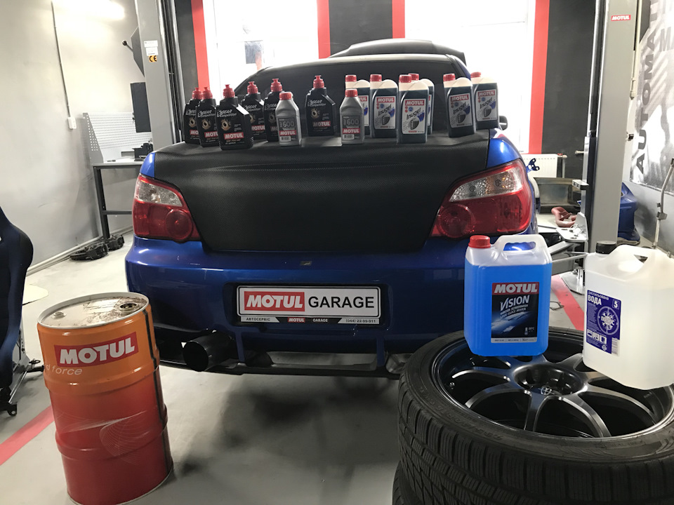 Motul головного мозку 😁😱або маленький тизер 🤗 1